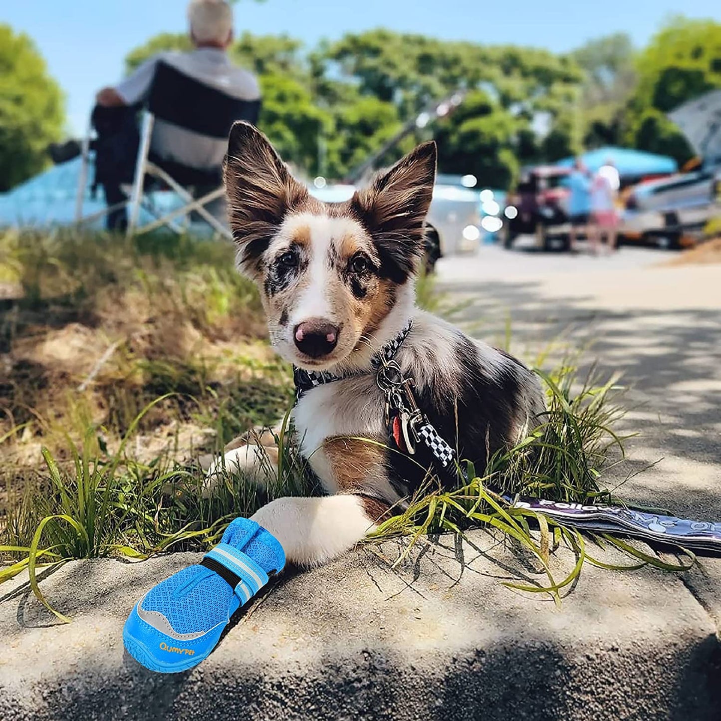 Zapatos para Perro para Pavimento Caliente