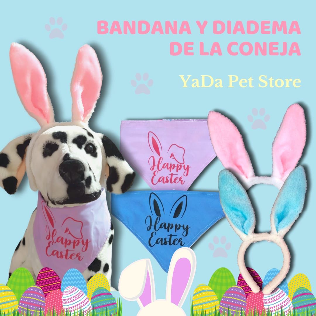 Kit pascua para mascota