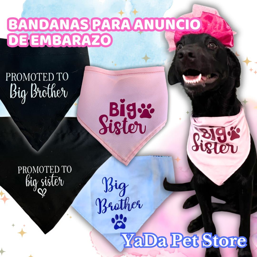 Bandana para Perro ó Gato - Anuncio de Embarazo - Big Brother