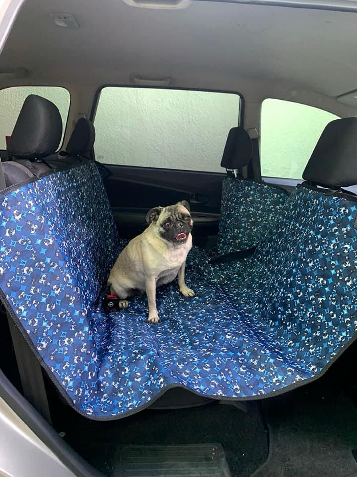 Cubre Asientos trasero de Auto para Mascotas