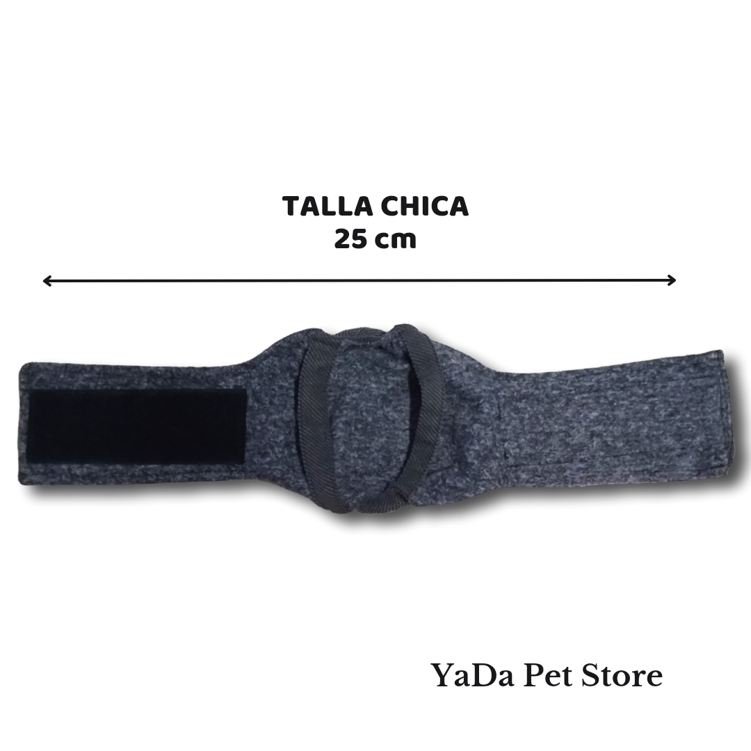 Calzón Lavable para Perro Macho