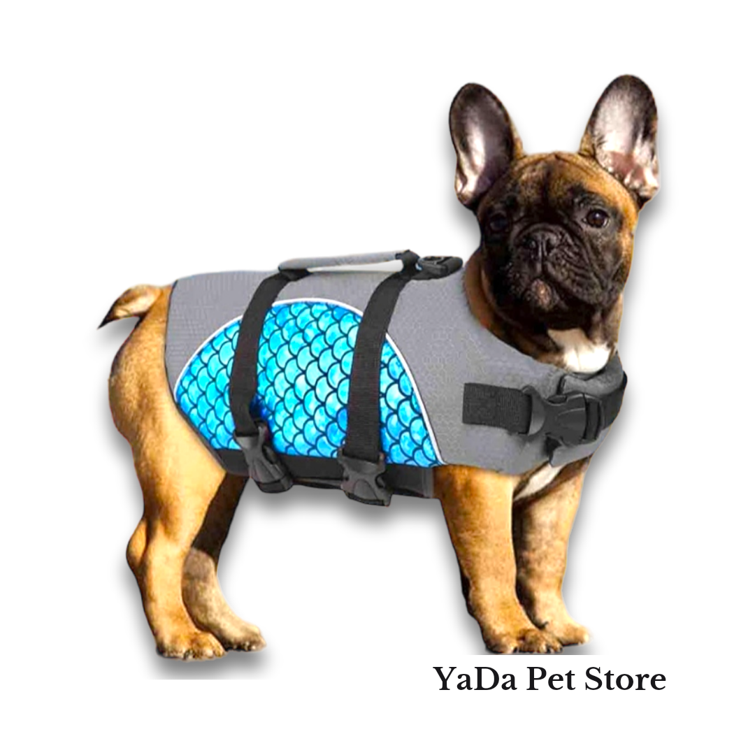 Chaleco Salvavidas para Perro