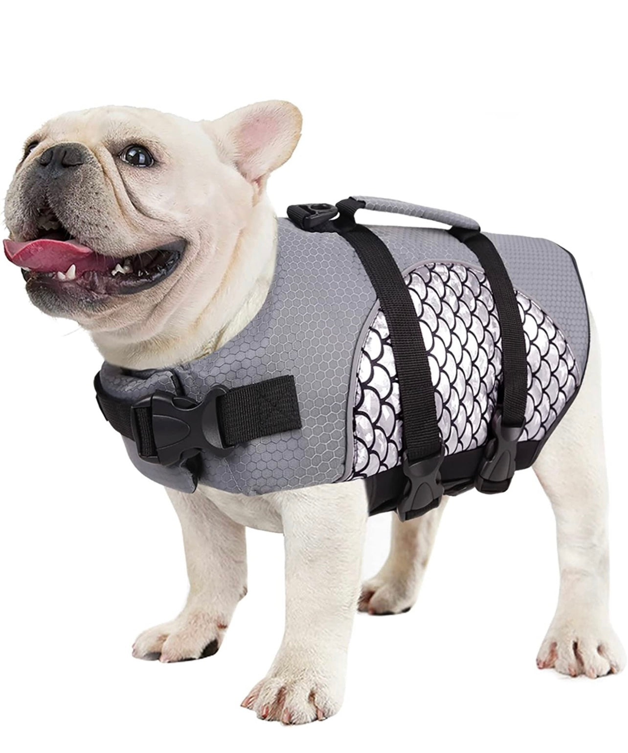 Chaleco Salvavidas para Perro